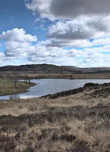 The Bold Creek