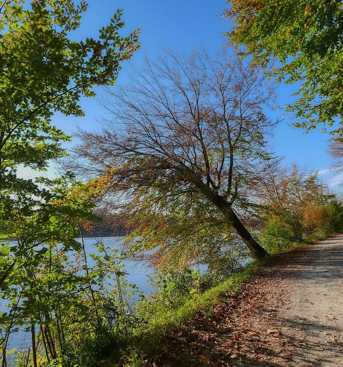The Bold Creek