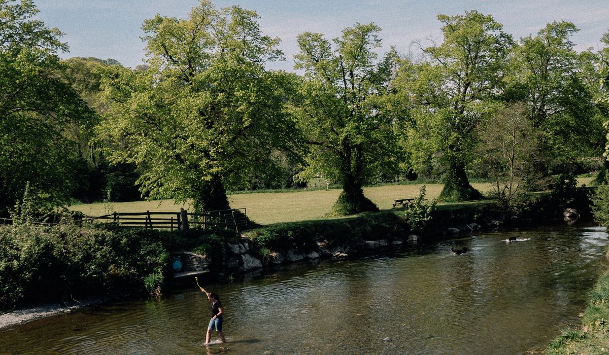 The Bold Creek