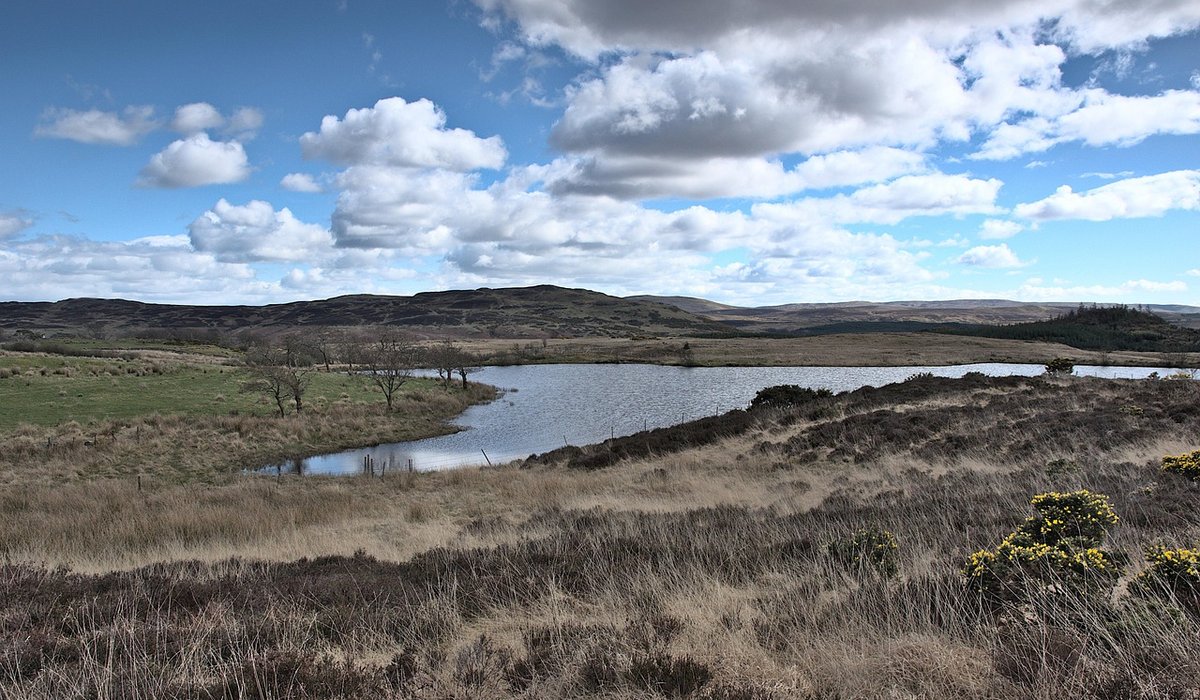 The Bold Creek