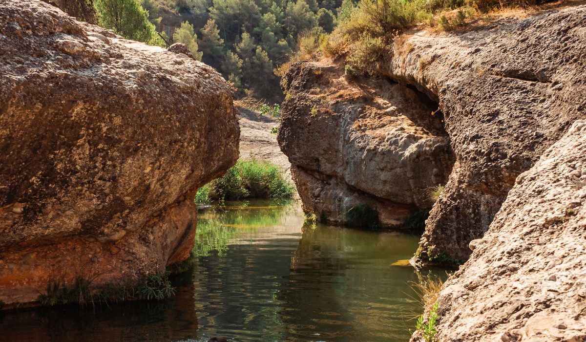 The Bold Creek